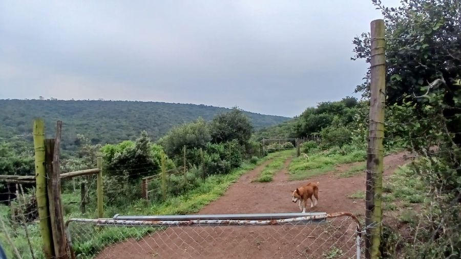 Commercial Property for Sale in Bathurst Rural Eastern Cape